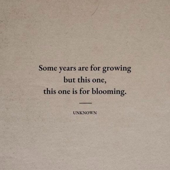 Robin here...Tweet...Tweet 🐦🐦🐦 - Picture 6 of 9